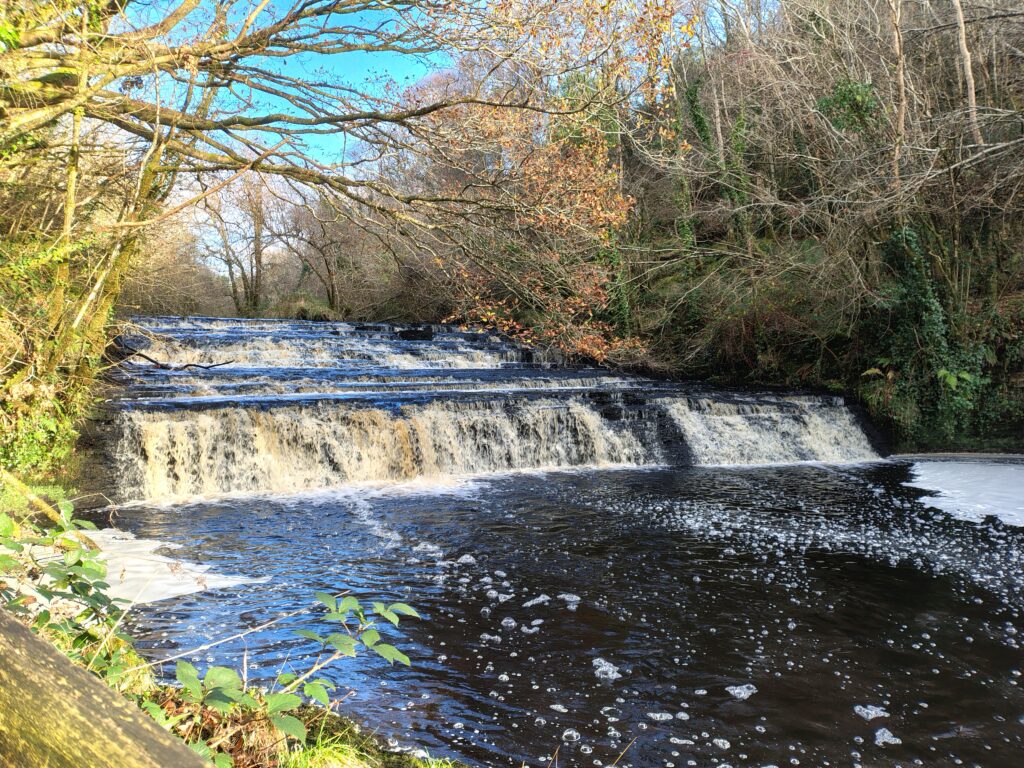 waterfall in a woodland setting