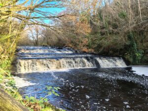 waterfall in a woodland setting